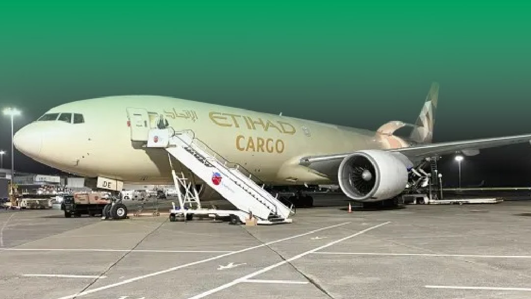 查浦曼完成75匹純種馬來中國的運輸任務